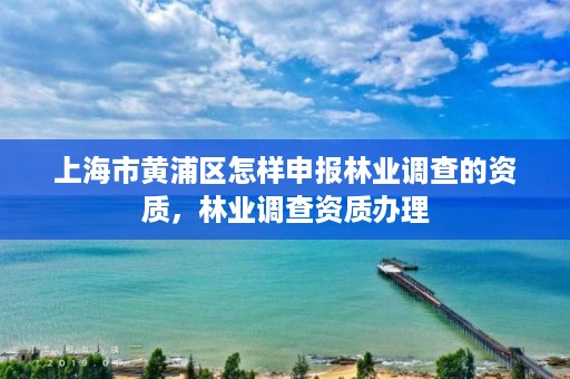 上海市黄浦区怎样申报林业调查的资质,林业调查资质办理