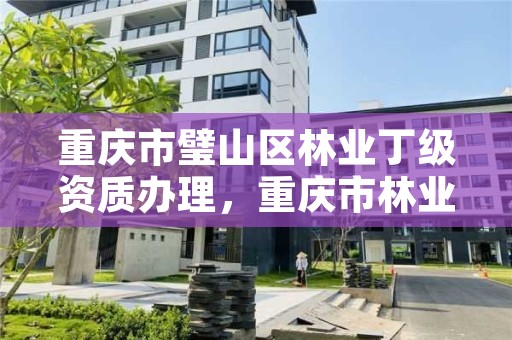 重庆市璧山区林业丁级资质办理,重庆市林业管理办法