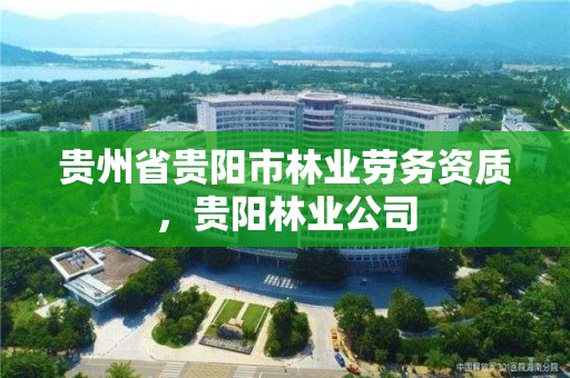 贵州省贵阳市林业劳务资质,贵阳林业公司