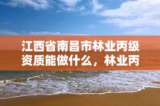 江西省南昌市林业丙级资质能做什么,林业丙级资质办理条件