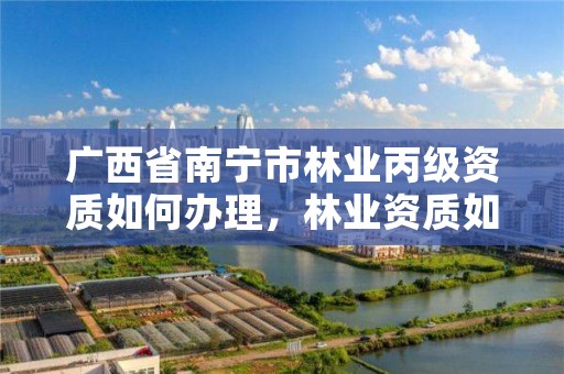 广西省南宁市林业丙级资质如何办理,林业资质如何申请办理
