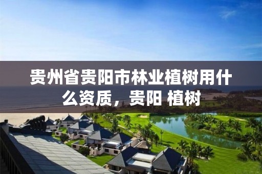 贵州省贵阳市林业植树用什么资质,贵阳 植树