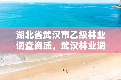 湖北省武汉市乙级林业调查资质，武汉林业调查规划院