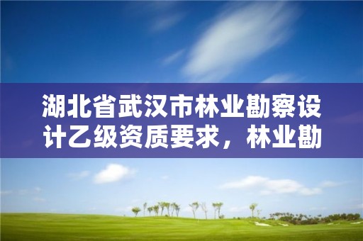 湖北省武汉市林业勘察设计乙级资质要求，林业勘测设计资质