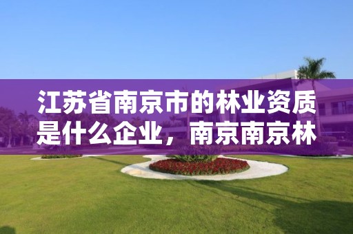 江苏省南京市的林业资质是什么企业，南京南京林业