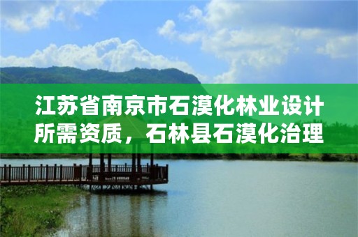 江苏省南京市石漠化林业设计所需资质，石林县石漠化治理措施