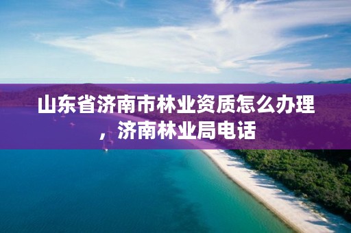 山东省济南市林业资质怎么办理,济南林业局电话