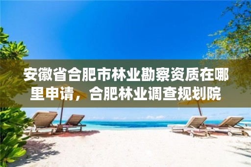 安徽省合肥市林业勘察资质在哪里申请,合肥林业调查规划院