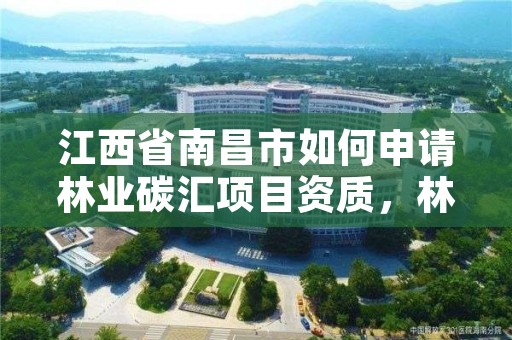 江西省南昌市如何申请林业碳汇项目资质,林业碳汇项目的申请主体包含哪些
