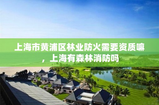 上海市黄浦区林业防火需要资质嘛,上海有森林消防吗