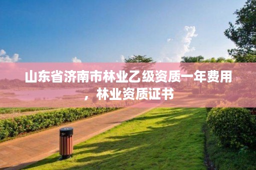 山东省济南市林业乙级资质一年费用,林业资质证书