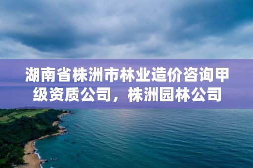 湖南省株洲市林业造价咨询甲级资质公司，株洲园林公司