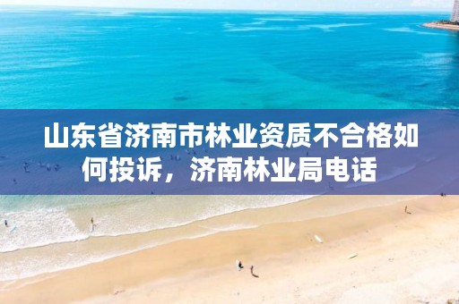 山东省济南市林业资质不合格如何投诉,济南林业局电话