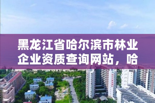 黑龙江省哈尔滨市林业企业资质查询网站,哈尔滨林业技术人员