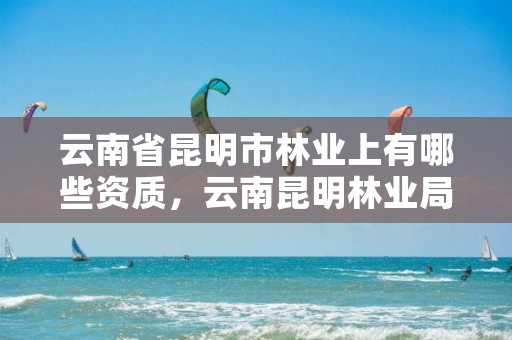 云南省昆明市林业上有哪些资质,云南昆明林业局