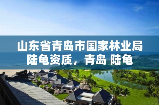 山东省青岛市国家林业局陆龟资质,青岛 陆龟