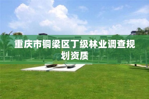 重庆市铜梁区丁级林业调查规划资质