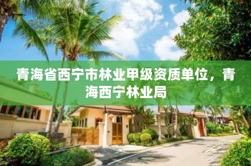 青海省西宁市林业甲级资质单位，青海西宁林业局