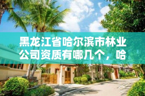 黑龙江省哈尔滨市林业公司资质有哪几个,哈尔滨林业局电话号码