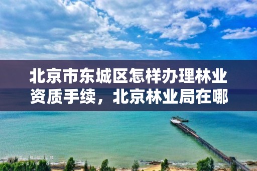 北京市东城区怎样办理林业资质手续，北京林业局在哪里