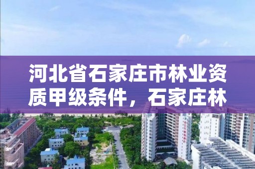 河北省石家庄市林业资质甲级条件,石家庄林业局电话号码