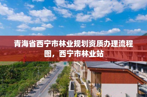 青海省西宁市林业规划资质办理流程图,西宁市林业站