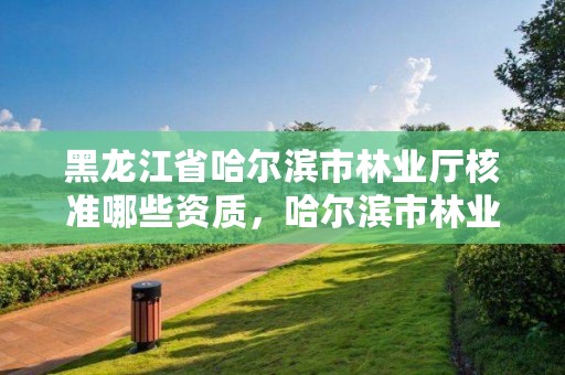 黑龙江省哈尔滨市林业厅核准哪些资质,哈尔滨市林业局直属林场