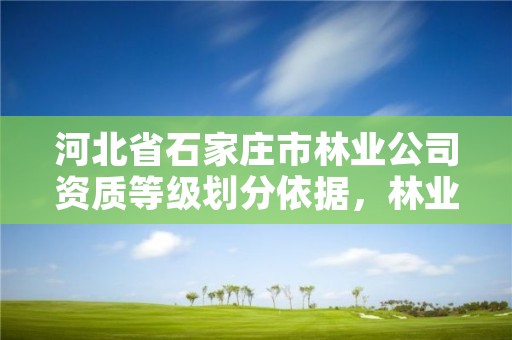 河北省石家庄市林业公司资质等级划分依据,林业公司资质有哪几个