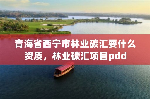 青海省西宁市林业碳汇要什么资质,林业碳汇项目pdd