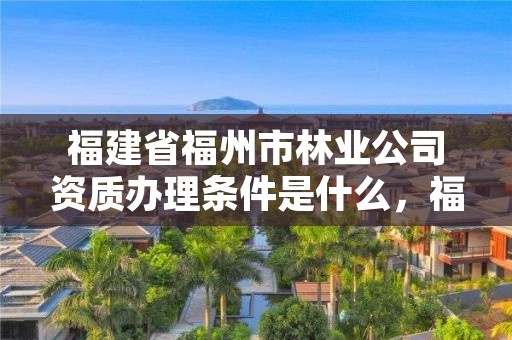福建省福州市林业公司资质办理条件是什么，福建省林业工程公司