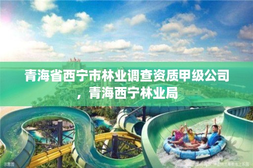 青海省西宁市林业调查资质甲级公司,青海西宁林业局