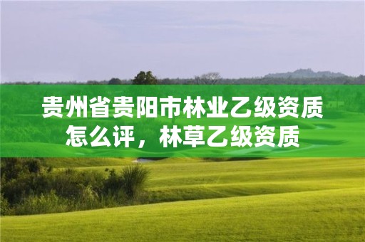 贵州省贵阳市林业乙级资质怎么评,林草乙级资质