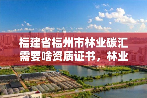 福建省福州市林业碳汇需要啥资质证书，林业碳汇项目是什么意思