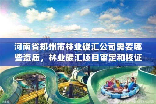 河南省郑州市林业碳汇公司需要哪些资质,林业碳汇项目审定和核证指南
