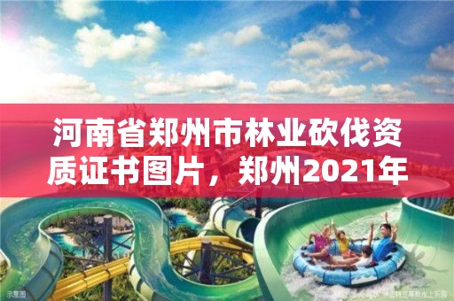 河南省郑州市林业砍伐资质证书图片,郑州2021年林业补贴政策