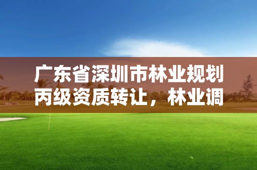 广东省深圳市林业规划丙级资质转让，林业调查丙级资质转让