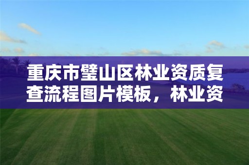 重庆市璧山区林业资质复查流程图片模板,林业资质 重庆