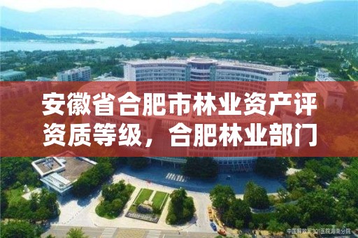 安徽省合肥市林业资产评资质等级,合肥林业部门