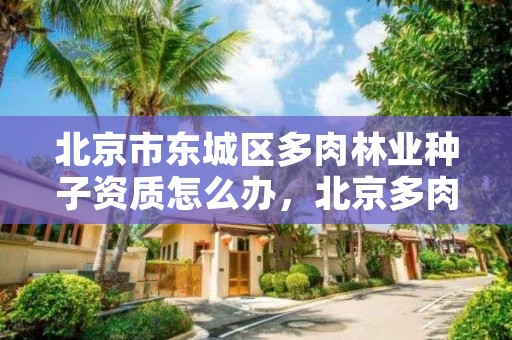 北京市东城区多肉林业种子资质怎么办，北京多肉农场有意思吗