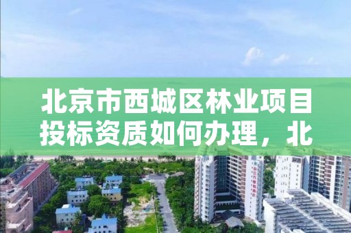 北京市西城区林业项目投标资质如何办理，北京市西城区林业项目投标资质如何办理的
