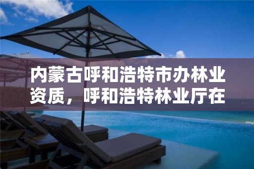 内蒙古呼和浩特市办林业资质,呼和浩特林业厅在哪