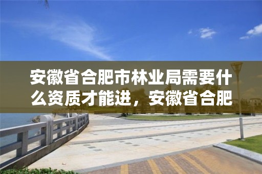 安徽省合肥市林业局需要什么资质才能进,安徽省合肥市林业局需要什么资质才能进去工作