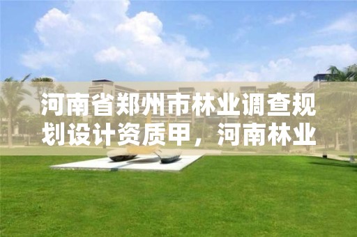 河南省郑州市林业调查规划设计资质甲,河南林业调查规划院咋样