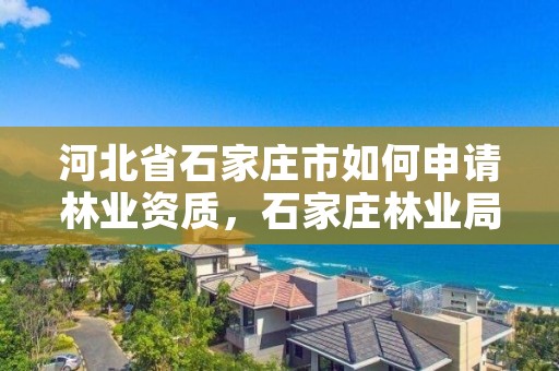 河北省石家庄市如何申请林业资质,石家庄林业局官网