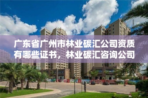 广东省广州市林业碳汇公司资质有哪些证书，林业碳汇咨询公司