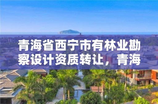 青海省西宁市有林业勘察设计资质转让，青海省西宁市有林业勘察设计资质转让公司吗
