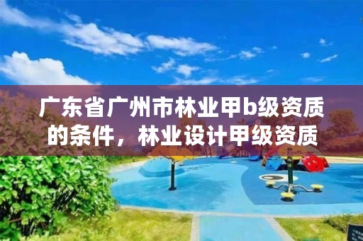 广东省广州市林业甲b级资质的条件，林业设计甲级资质
