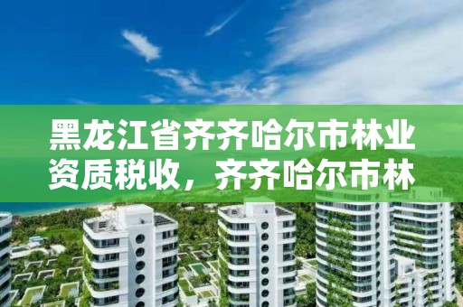 黑龙江省齐齐哈尔市林业资质税收,齐齐哈尔市林业局长