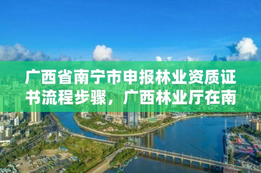 广西省南宁市申报林业资质证书流程步骤,广西林业厅在南宁什么路