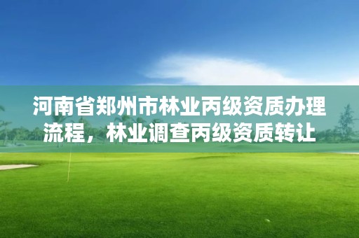 河南省郑州市林业丙级资质办理流程,林业调查丙级资质转让